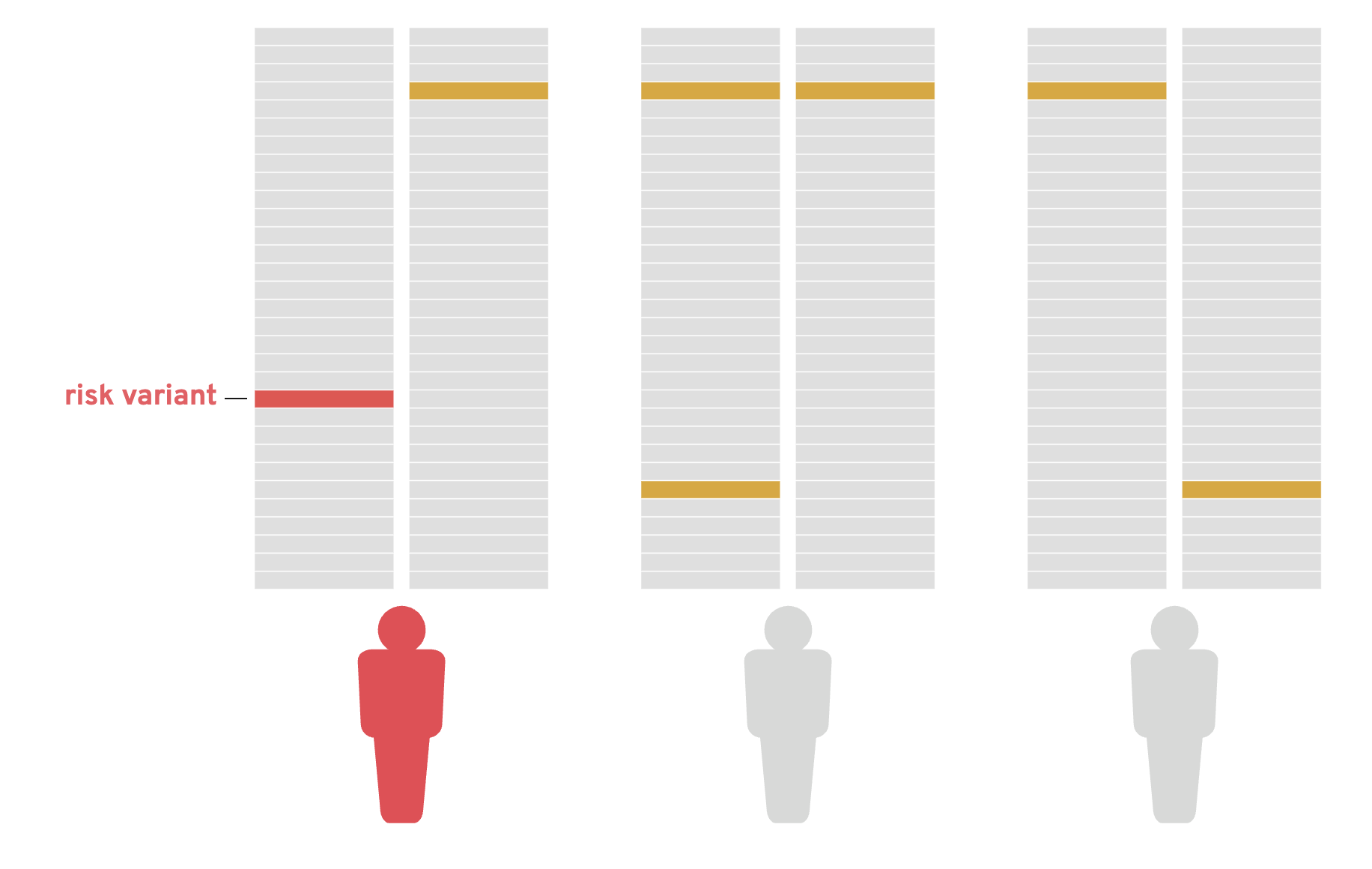 Variant Brief Broad Publication Viewer